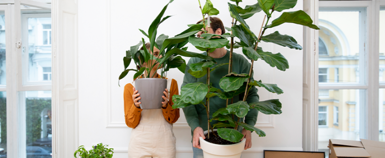 Como refletir seu estilo de vida na sua moradia