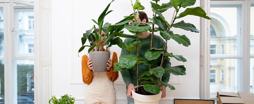 Como refletir seu estilo de vida na sua moradia